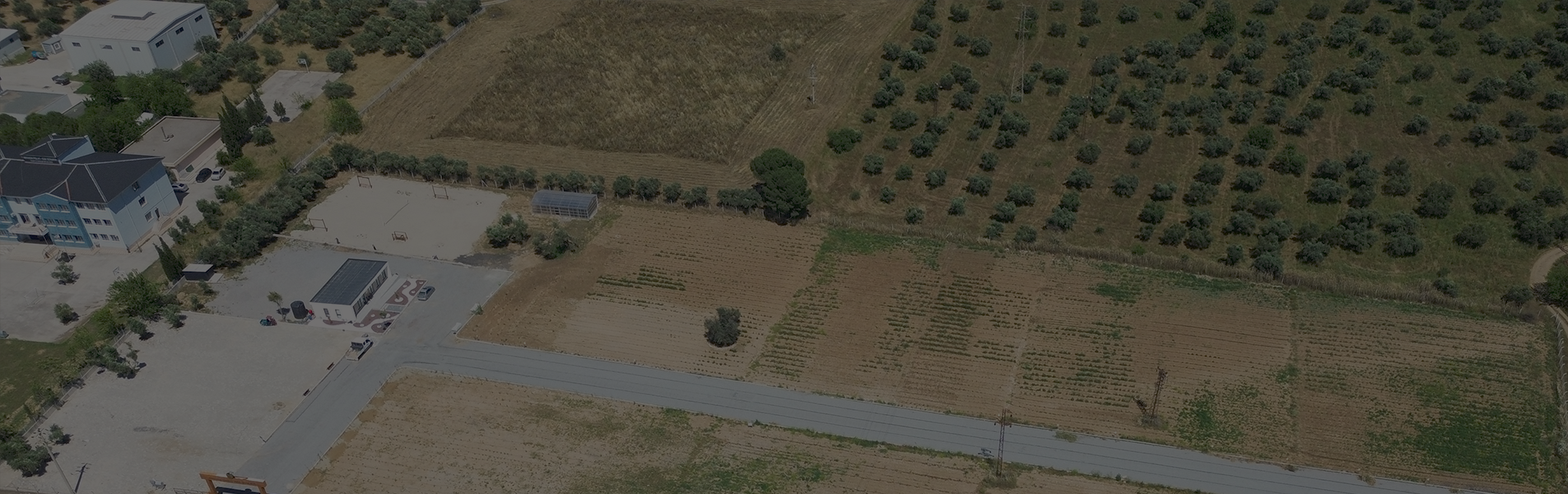 Proje Hakkında