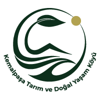 kemalpaşa